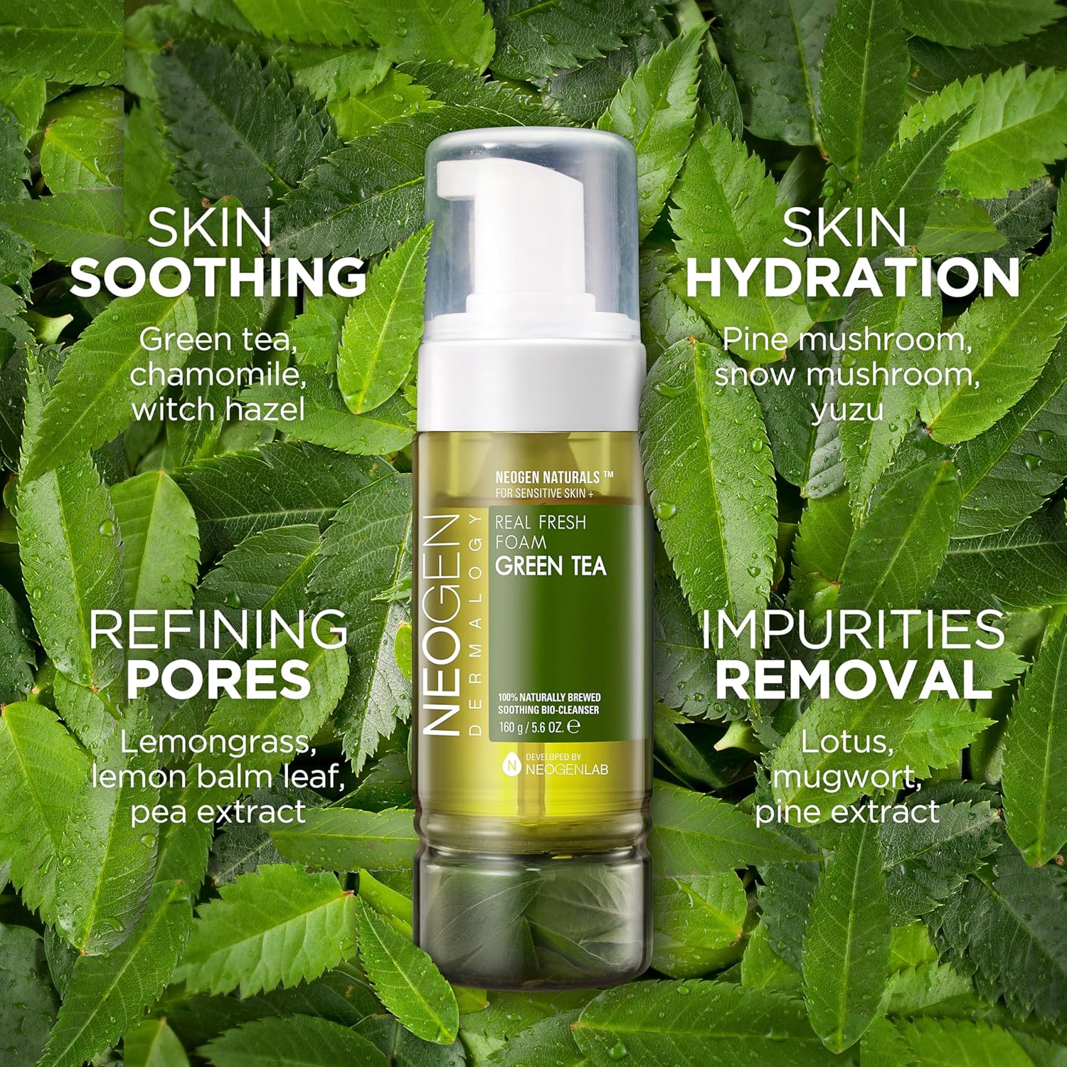 NEOGEN Dermalogy Real Fresh Foam Green Tea